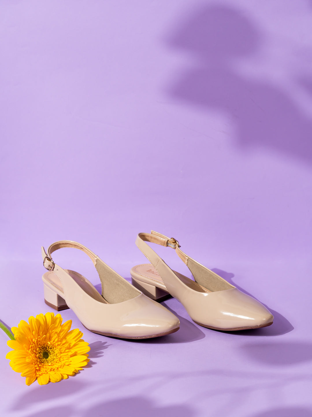 Womens Brown Party Wear Solid Pointed Block Heel Sandals